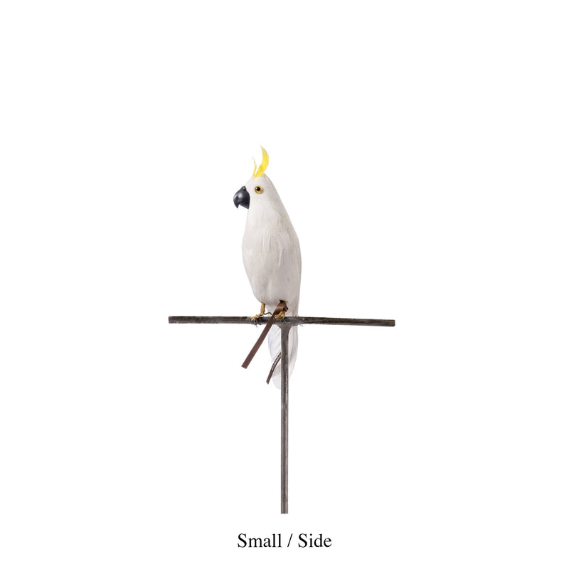 ARTIFICIAL BIRDS Parrot / Small