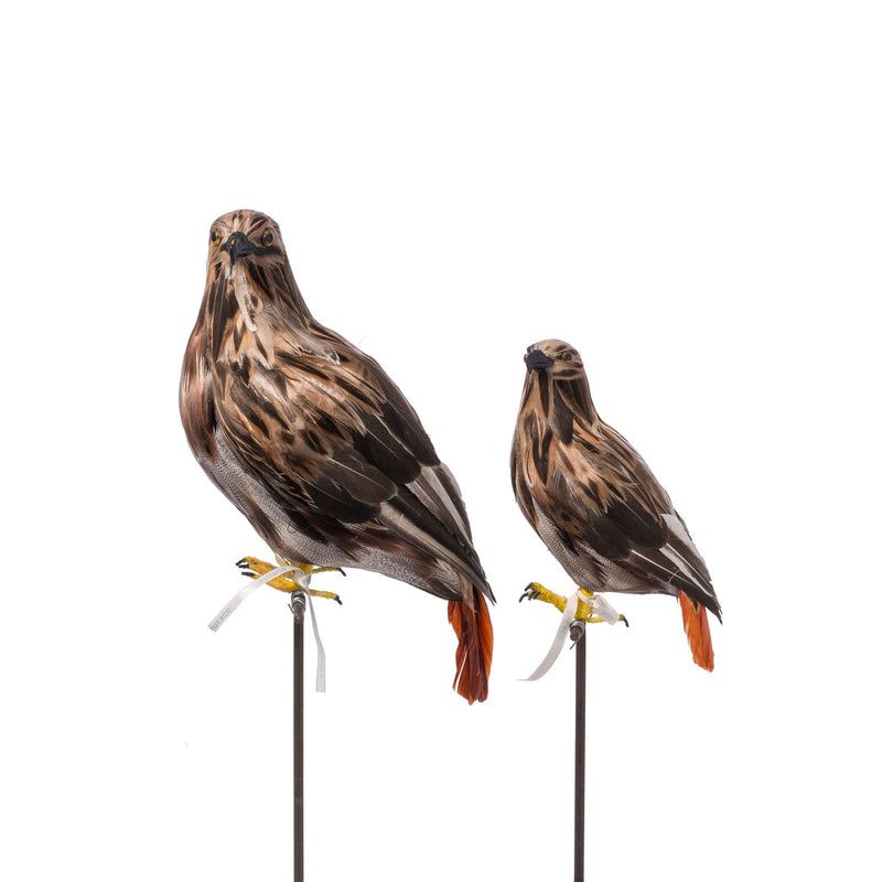 ARTIFICIAL BIRDS Eagle / Small